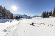 Rodeln with a view am Reither Kogel. • © Alpbachtal Tourismus, shootandstyle.com